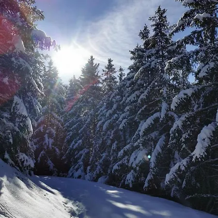 Sauerland Refugium Medebach